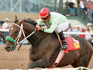 Fox in the House wins the 2012 Con Jackson Claiming Handicap.