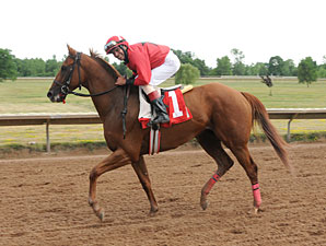 Fox Rules wins the 2012 New York Derby.