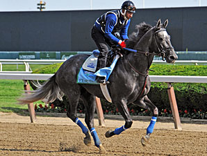 Frac Daddy - Belmont Park, June 6, 2013.