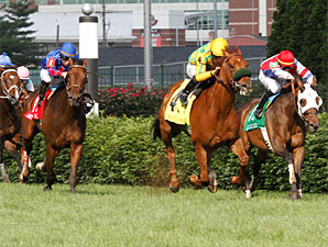 Free Fighter wins the 2010 Louisville Handicap.