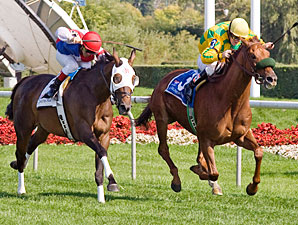 Free Fighter wins the 2009 Stars and Stripes over Brass Hat.