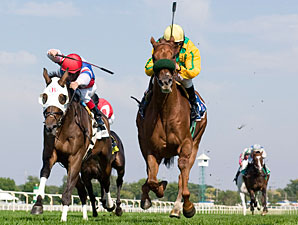 Free Fighter wins the 2009 Stars and Stripes.