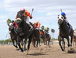 Frisky Ricky wins the 2014 Sandra Hall Grand Canyon Handicap.