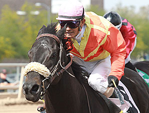 Frisky Ricky wins the 2014 Sandra Hall Grand Canyon Handicap.