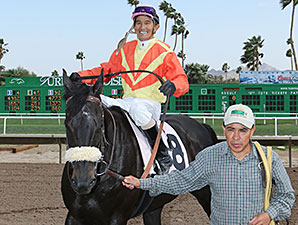 Frisky Ricky wins the 2014 Sandra Hall Grand Canyon Handicap.