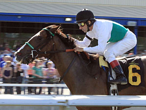 Fugitive Angel wins the 2011 Ambassador of Luck Stakes.