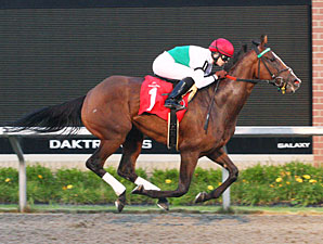 Fugitive Angel wins the 2010 Malvern Rose Stakes.