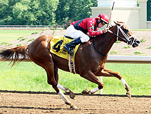 Fuzzy Dee Jay wins the Sydney Gendleman Memorial Handicap.