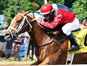 Fuzzy Dee Jay wins the Sydney Gendleman Memorial Handicap.