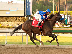 Game On Dude wins the 2012 Awesome Again.