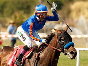 Game On Dude wins the 2012 Californian.
