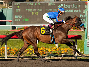 Game On Dude wins the 2012 Hollywood Gold Cup.