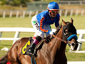 Game On Dude wins the 2012 Hollywood Gold Cup.