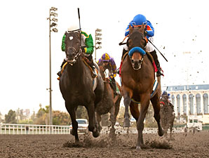 Game On Dude wins the 2012 Native Diver.