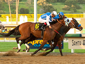 Game On Dude wins the 2011 Santa Anita Handicap.