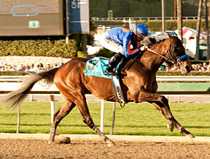 Game On Dude wins the 2013 Santa Anita Handicap.