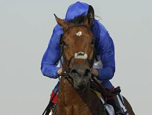 Gamilati in the UAE 1000 Guineas Trial.