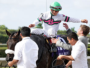 Gantry wins the 2012 Smile Sprint Handicap.