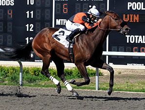 Gator Bay wins the 2011 Presidentialaffair Stakes.