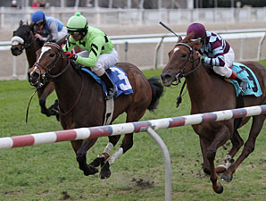 Gator Zone wins the 2013 Allen LaCombe Memorial Stakes.