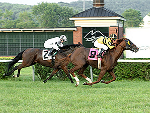 Geaux Wando wins the 2014Turf Marathon Series #3 Allowance.
