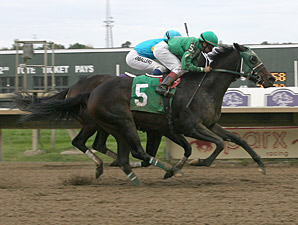 Geeky Gorgeous wins the 2013 Cornucopia Stakes.