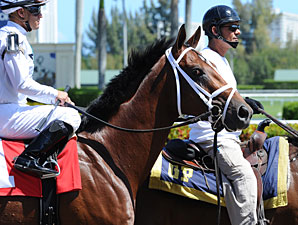 Gemologist - Alllowance Win, March 16, 2012.
