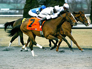 General Election wins the 2013 John Battaglia Memorial.