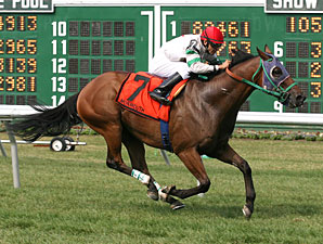 General Perfect wins the 2010 John McSorley Stakes.