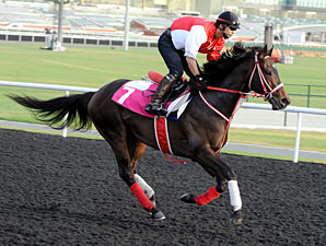 Genten - Dubai 2012