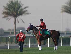 Gentildonna - Dubai March 25, 2013.
