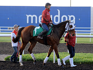 Gentildonna - Dubai March 27, 2013.