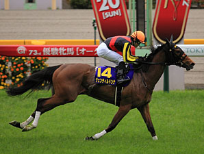 Gentildonna in the Yushun Himba Japanese Oaks.