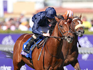 George Vancouver wins the 2012 Breeders' Cup Juvenile Turf.