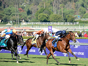 George Vancouver wins the 2012 Breeders' Cup Juvenile Turf.