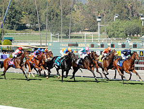 George Vancouver wins the 2012 Breeders' Cup Juvenile Turf.