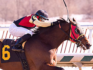 Germaniac wins the 2014 Frank Whiteley, Jr. Stakes.