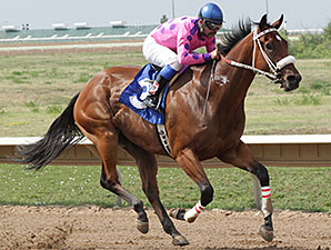 Get Happy Mister wins the Mount Elbert.