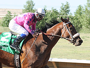 Get Happy Mister wins the 2014 Arapahoe Park Classic.