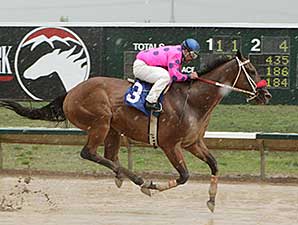 Get Happy Mister wins the 2014 Aspen Stakes.
