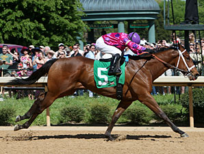 Get Happy Mister wins the 2013 Northern Spur Stakes.