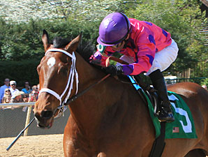 Get Happy Mister wins the 2013 Northern Spur Stakes.