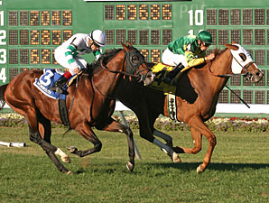 Get Serious wins the 2010 Red Bank Stakes.