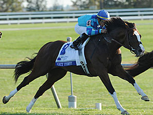 Get Stormy in the Shadwell Turf Mile.