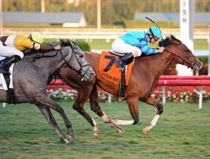 Get Stormy wins the 2012 Gulfstream Park Turf Handicap.