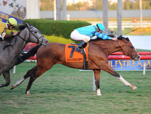 Get Stormy wins the 2012 Gulfstream Park Turf Handicap.