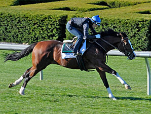 Get Stormy works at Keeneland on Oct. 28, 2010.