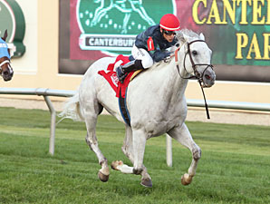 Ghost Dance wins the 2013 Blair Cove Stakes.