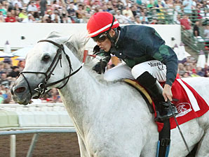 Ghost Dance wins the 2013 Blair Cove Stakes.