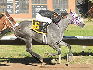 Ghost Realms wins the 2014 New Mexico State Fair Thoroughbred Breeders Stakes.